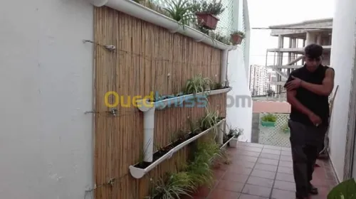 Nettoyage et entretien des jardins