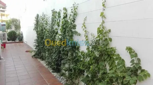 Nettoyage et entretien des jardins