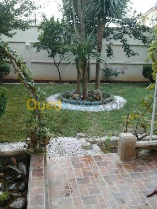 Nettoyage et entretien des jardins