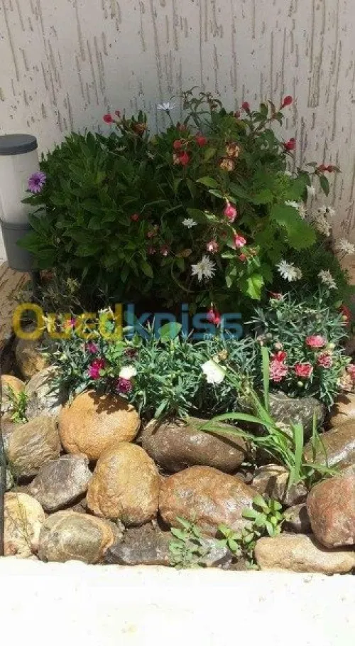 Nettoyage et entretien des jardins