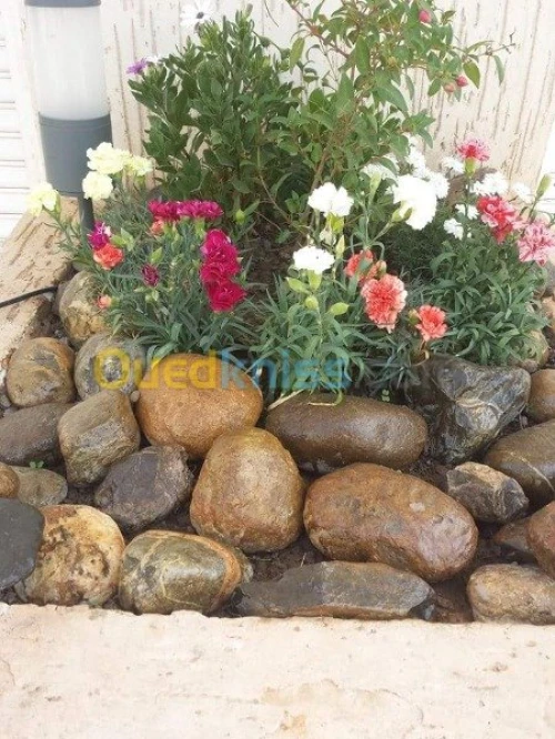 Nettoyage et entretien des jardins