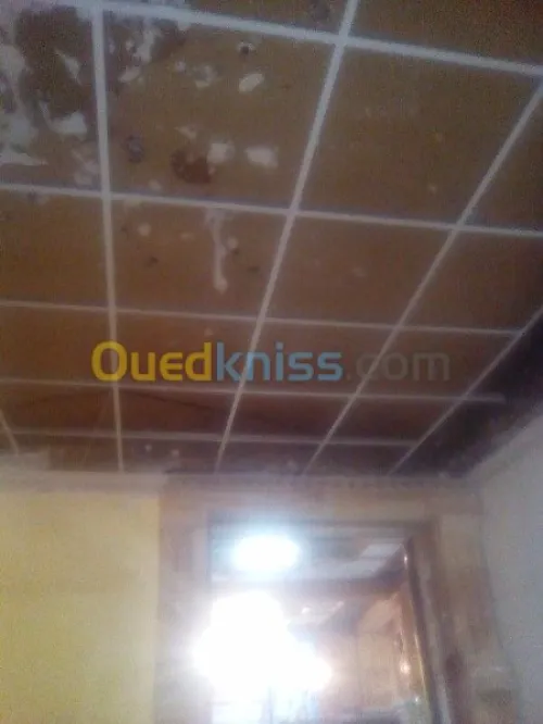 Tout types faux plafond 