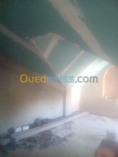 Tout types faux plafond 