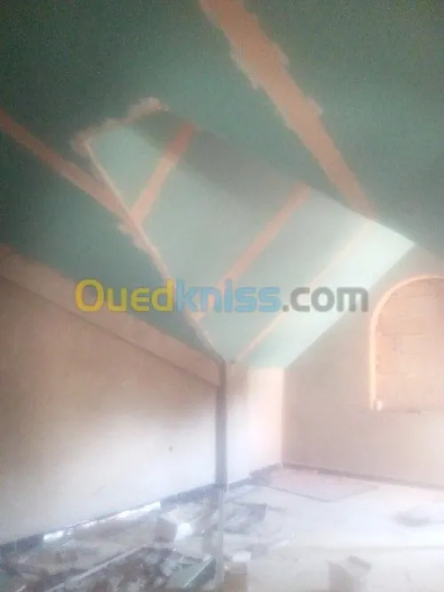 Tout types faux plafond 