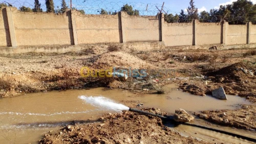 Développement du forage