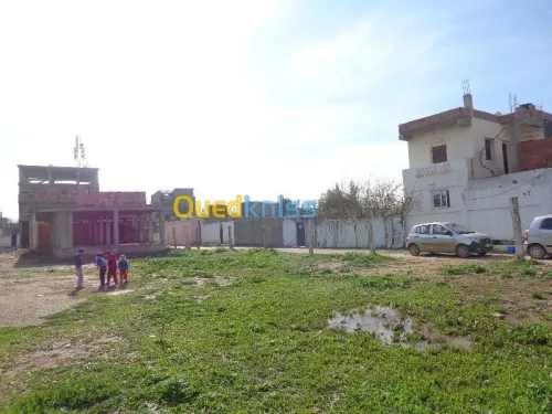 Vente Terrain Boumerdes Hammedi