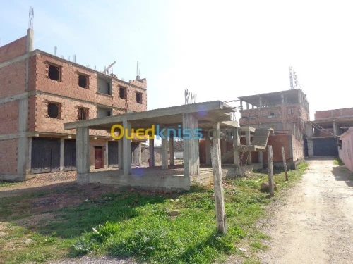 Vente Terrain Boumerdes Hammedi