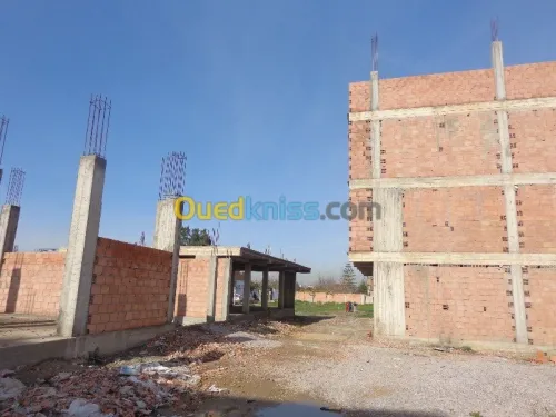 Vente Terrain Boumerdes Hammedi