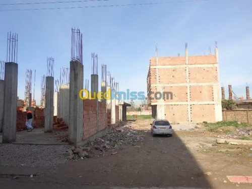 Vente Terrain Boumerdes Hammedi