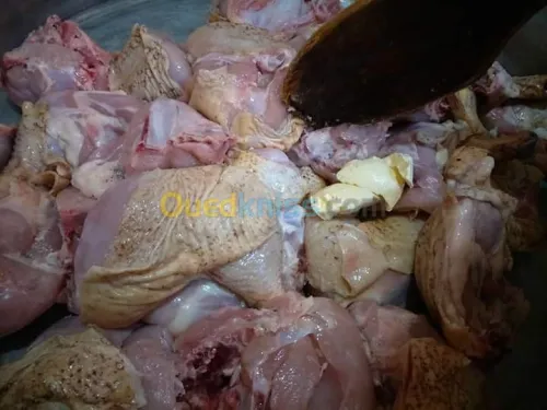 TRAITEUR Cuisine Algerienne 