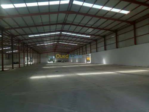 Location Hangar Alger Baraki