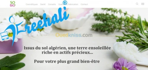 Conception Site web sur Freehali