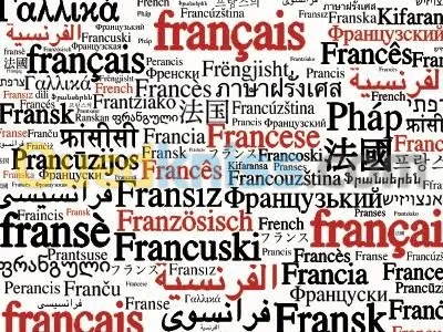 Cours et perfectionnement de langue 