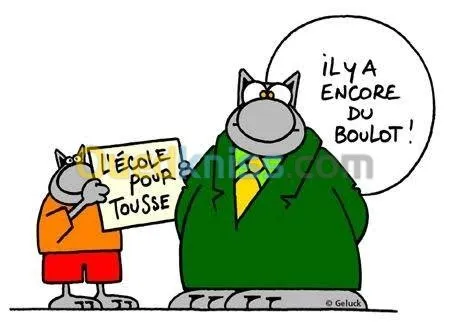 Cours et perfectionnement de langue 