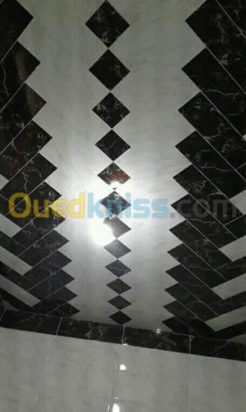 ( Faience + daldesol + carrelage)