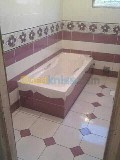 ( Faience + daldesol + carrelage)