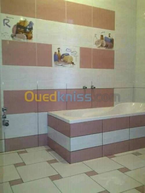 ( Faience + daldesol + carrelage)