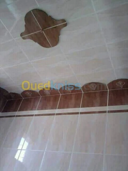 ( Faience + daldesol + carrelage)