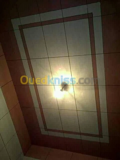 ( Faience + daldesol + carrelage)