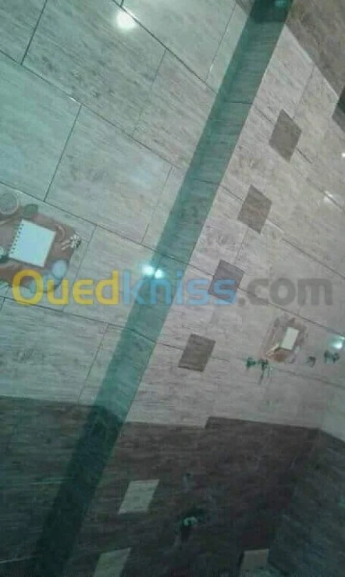 ( Faience + daldesol + carrelage)