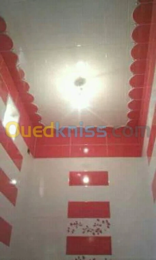 ( Faience + daldesol + carrelage)