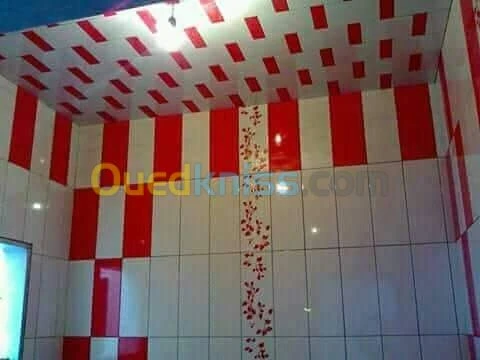 ( Faience + daldesol + carrelage)