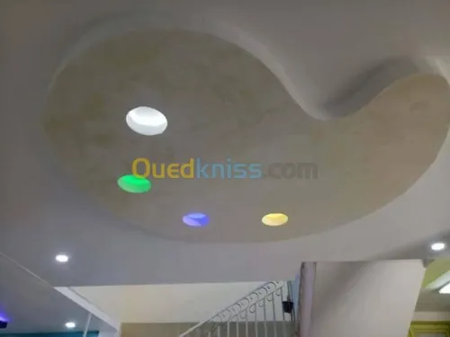 Faux plafonds ( PVC & Placoplâtre ) 