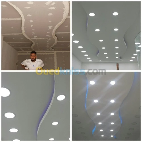 Faux plafonds ( PVC & Placoplâtre ) 