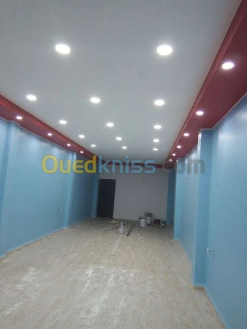 Faux plafonds ( PVC & Placoplâtre ) 