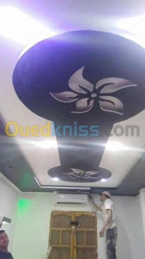 Faux plafond palco platre et pvc
