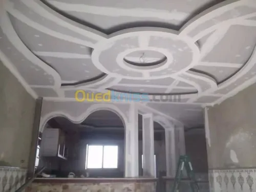Faux plafond palco platre et pvc