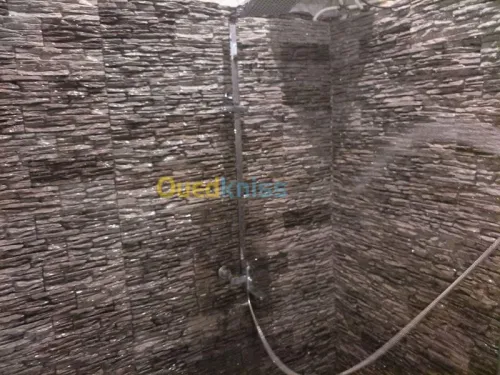 pierre decorative interieur ex