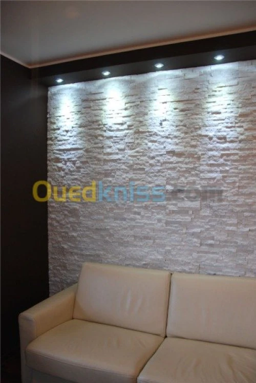 pierre decorative interieur ex