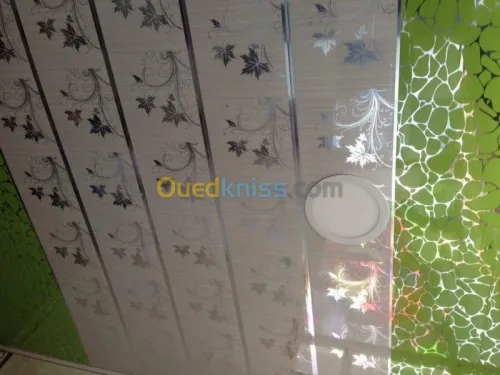 Faux plafond