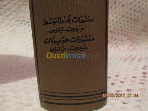 الوظيفة القنصلية والدبلوماسية 