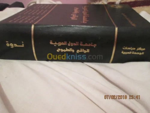 جامعة الدول العربية الواقع والطموح