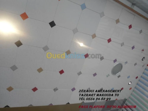 BA13,Plafond démontable, PVC, Peinture