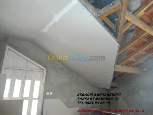 BA13,Plafond démontable, PVC, Peinture