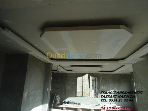 BA13,Plafond démontable, PVC, Peinture