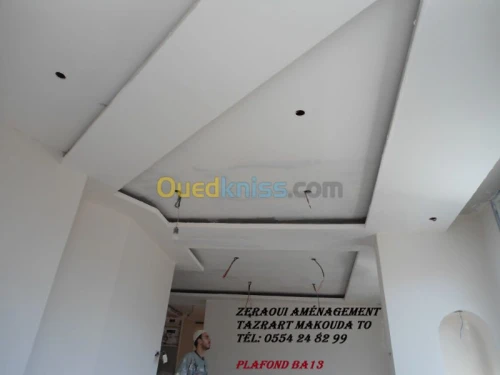 BA13,Plafond démontable, PVC, Peinture