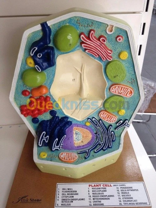 materiel didactique et laboratoire