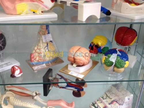 materiel didactique et laboratoire