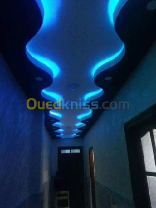 Merzak Placo plâtre