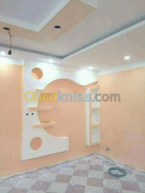 Merzak Placo plâtre