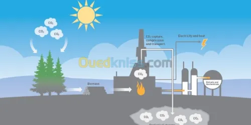 Bureau d'études et d'investissement 
