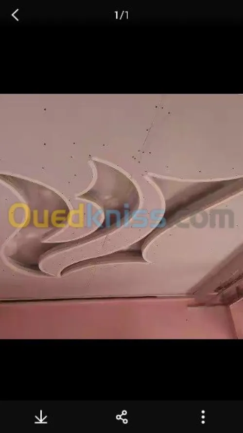   Travaux d' aménage  et  décoration