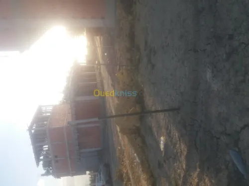 Vente Terrain Blida Boufarik