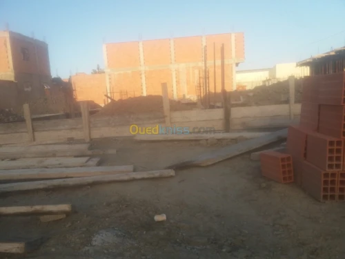 Vente Terrain Blida Boufarik