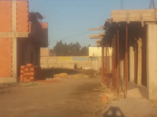 Vente Terrain Blida Boufarik