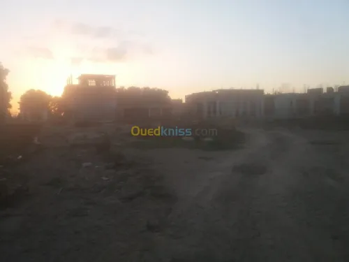 Vente Terrain Blida Boufarik